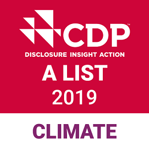 logo:CDP 2019