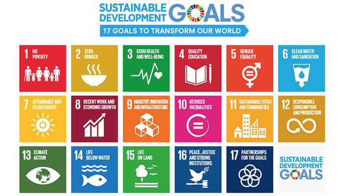 Sustainable Development Goals (SDGs) Logo