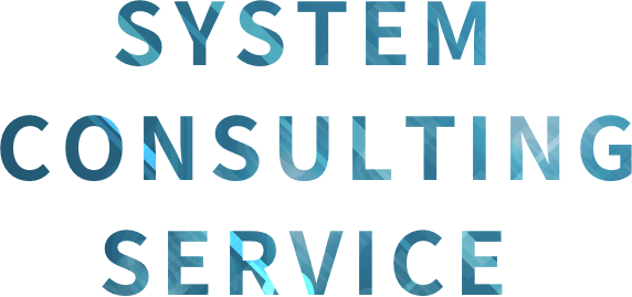 SYSTEM CONSULTING SERVICE