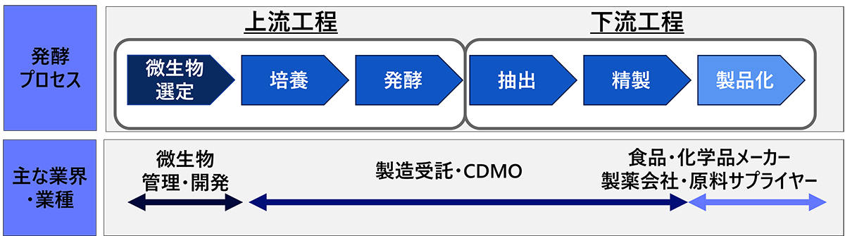 図 発酵における生産プロセスと関連する企業の特徴